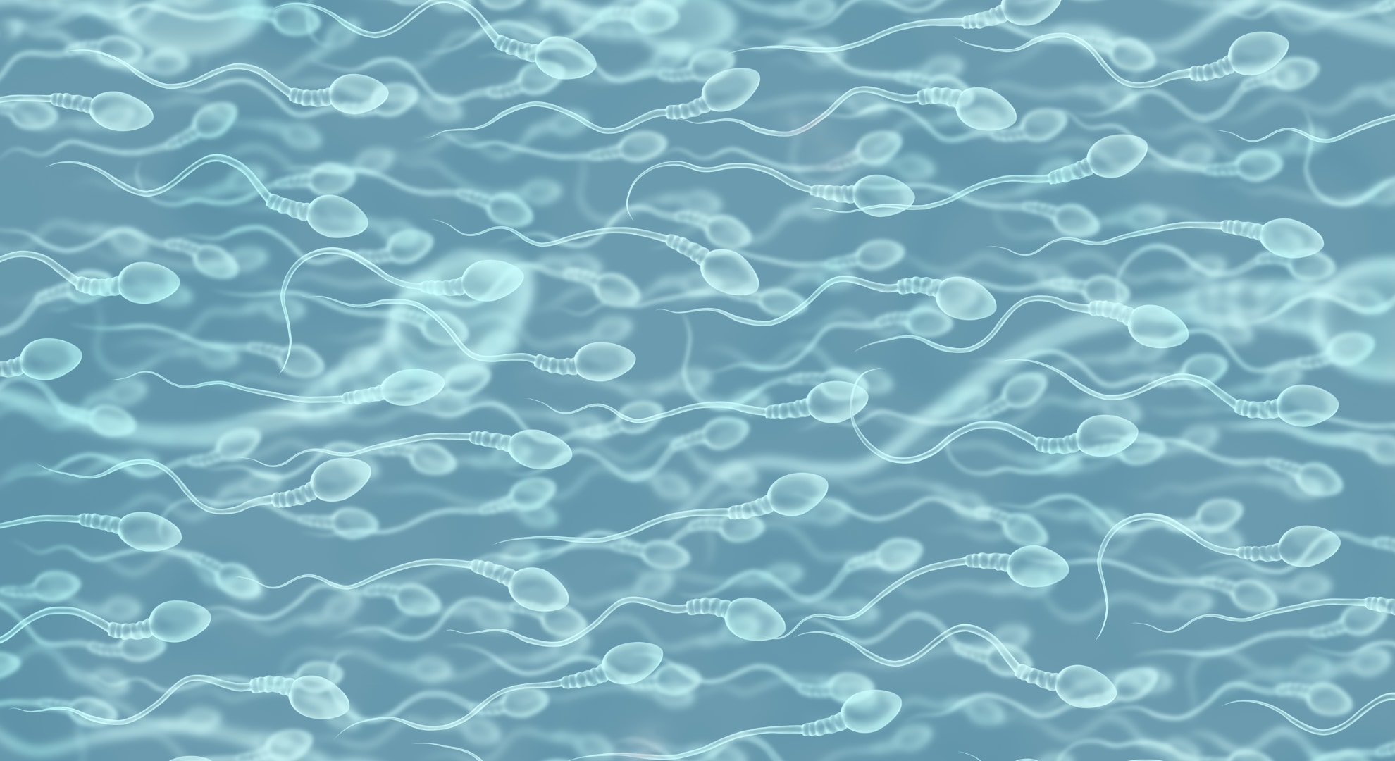 毎秒1000個の精子工場をどう止めるか