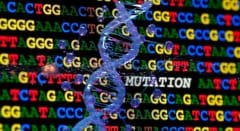 「DNAはお手本を見ながら作る」という生物の大前提が、細菌の中で破られていた――アミノ酸が文字代わりにの画像 3/6