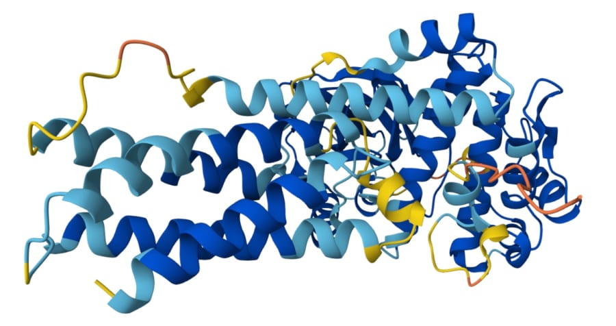 老化は「修理できるかもしれない」時代へ
