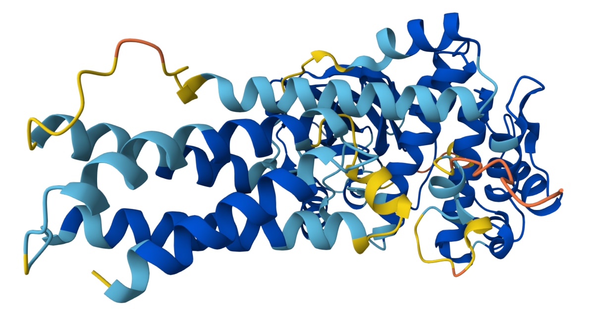 老化は「修理できるかもしれない」時代へ