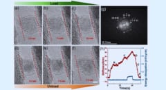 小さなダイヤは予想以上に大きな弾力を持つと判明