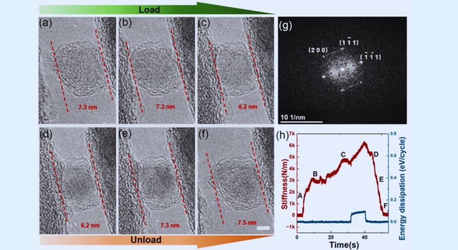 小さなダイヤは予想以上に大きな弾力を持つと判明