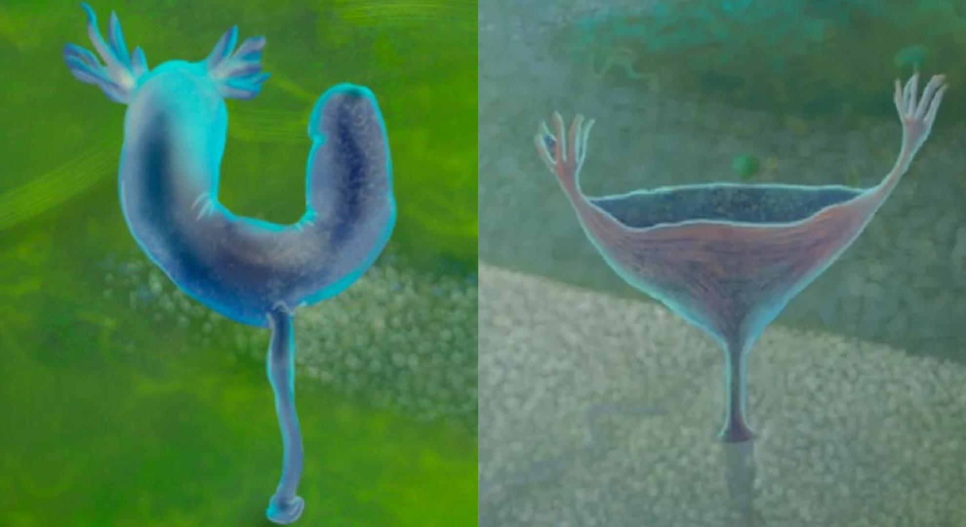 カンブリア爆発前にすでに多様な動物はいた――古代のヘンテコ動物の化石を発見