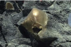海底に沈む「謎の黄金球体」の正体が判明の画像 2/3