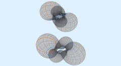 ついに見つかった双子のドーナツ