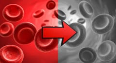 「死のタンパク質」が血を老化させていたと判明――ミトコンドリアのエネルギーを奪うの画像 2/5