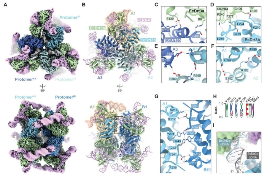 18個の部品が作る、美しい対称構造の分子マシン