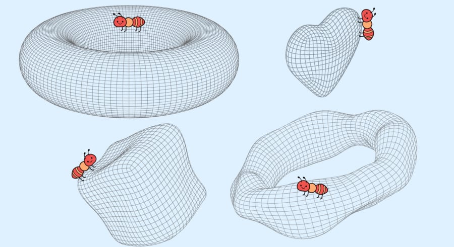 理論的にはいるはずの「双子」がみつからない