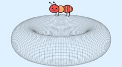 アリは自分が乗っている形を知ることができるのか