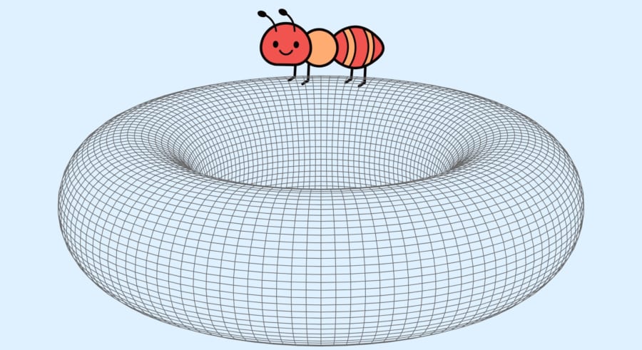 アリは自分が乗っている形を知ることができるのか