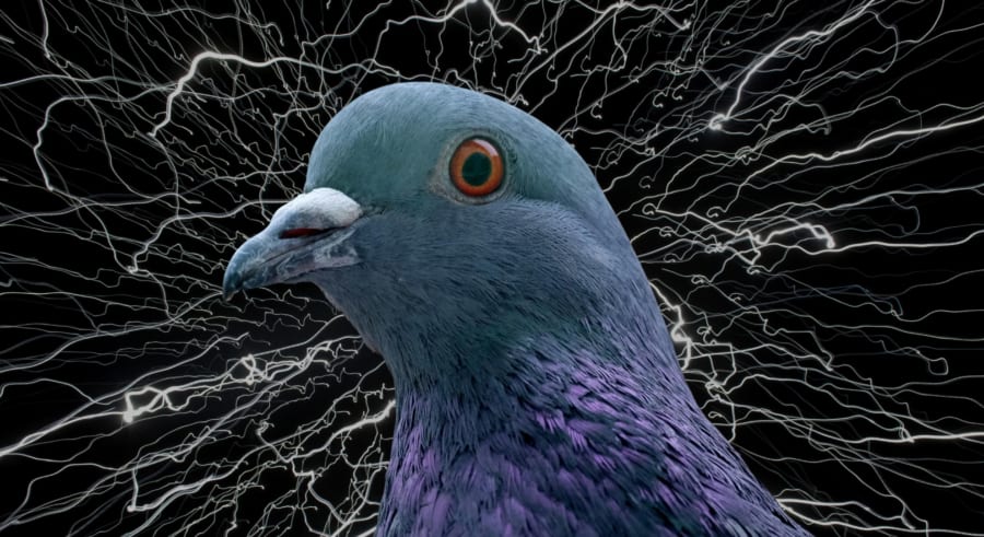 効果の法則を超える「混沌の淵」という生存戦略