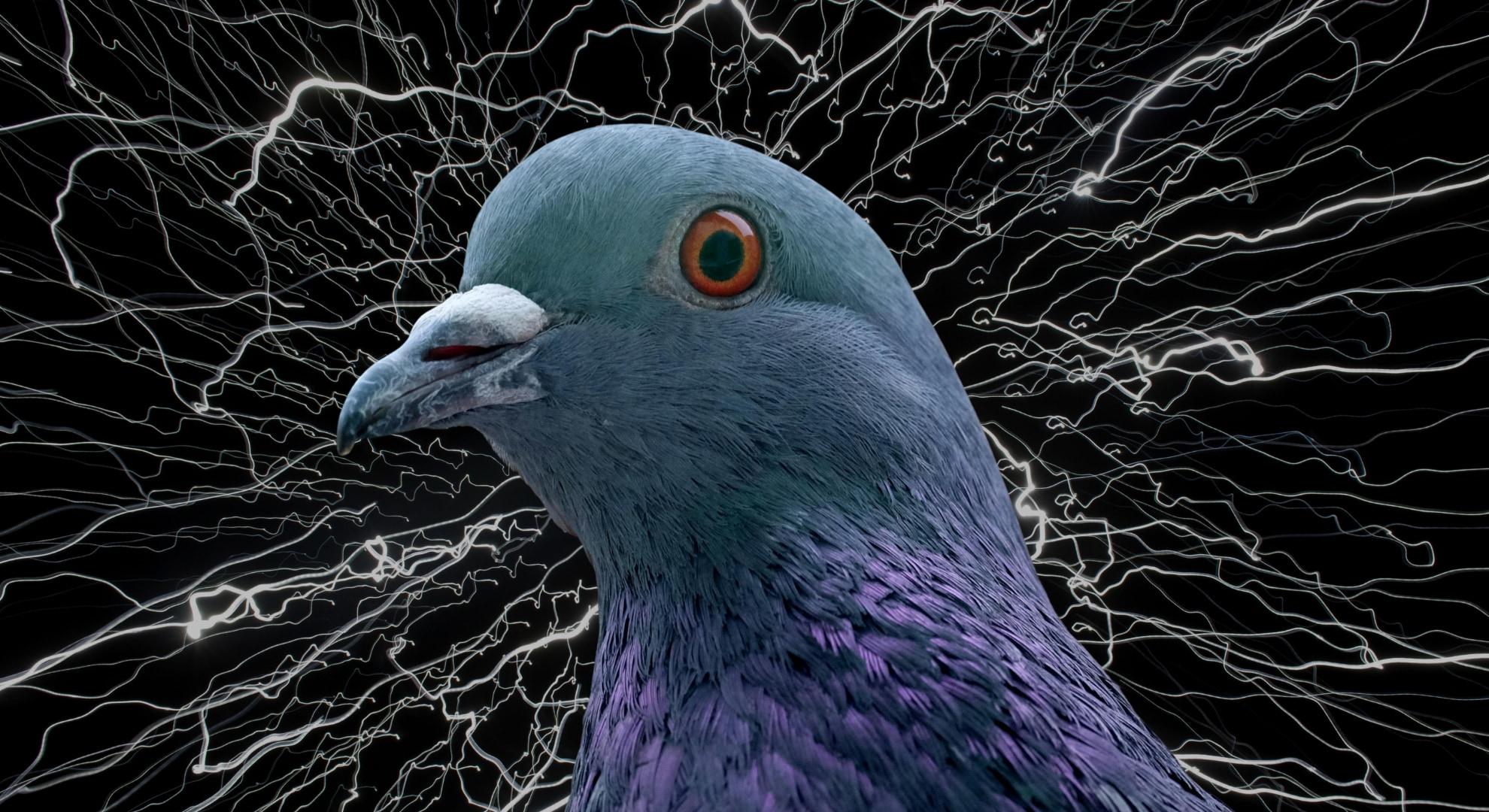 効果の法則を超える「混沌の淵」という生存戦略