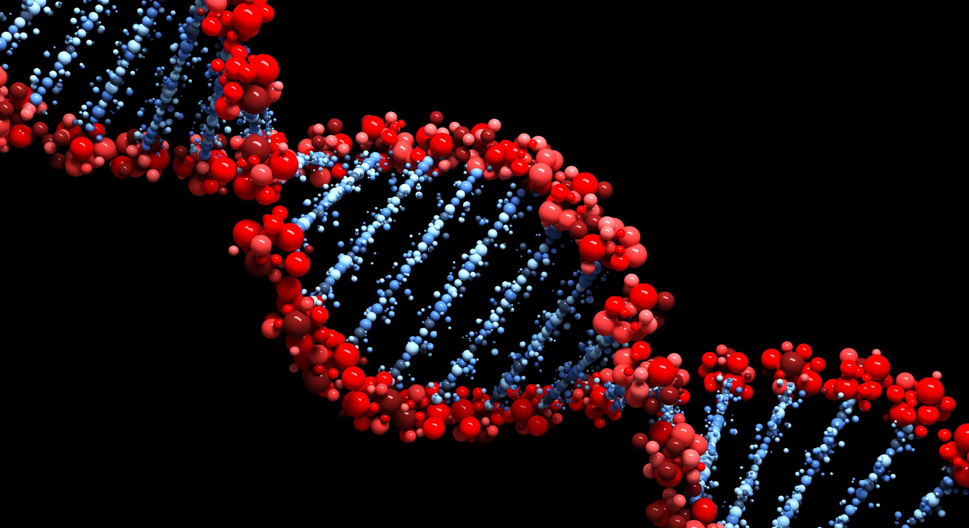 「DNAはお手本を見ながら作る」という生物の大前提が、細菌の中で破られていた――アミノ酸が文字代わりに