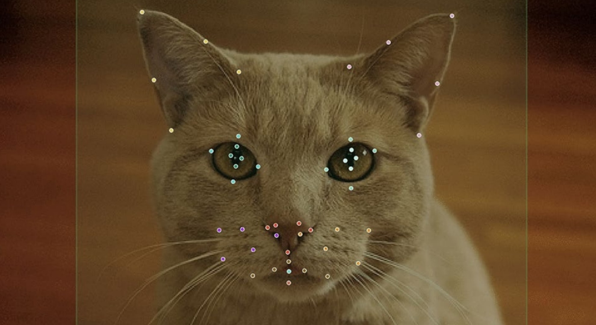 猫は「AIでしか見えない速さ」で互いの表情をコピーし合うことが判明――表情の真似っこに隠れた文法