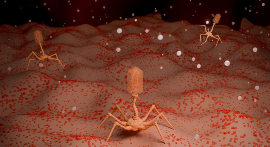 なぜ細菌は、こんな変わった仕組みを身につけたのか