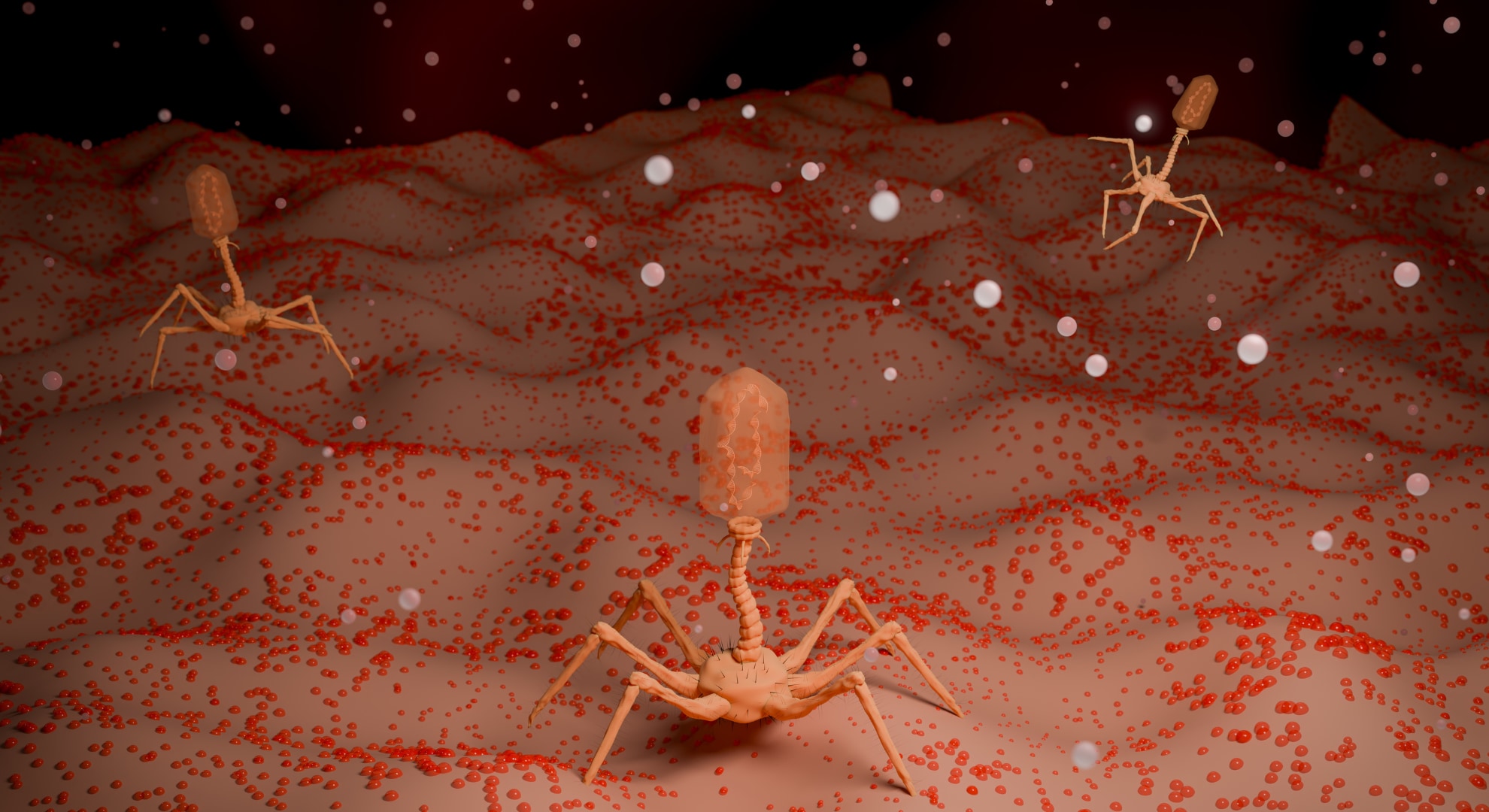 なぜ細菌は、こんな変わった仕組みを身につけたのか