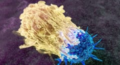 CAR-Tという、改造された追跡型の部隊