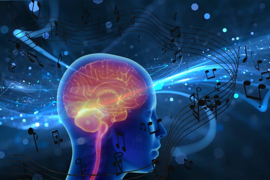 非音楽家でも、脳は”音楽のルール”を理解している