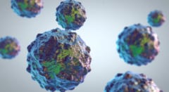 彼女の体で起きていた、三重の裏切り