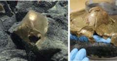 海底に沈む「謎の黄金球体」の正体が判明の画像 1/3