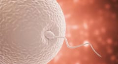 安全性を子ども世代まで追いかけた