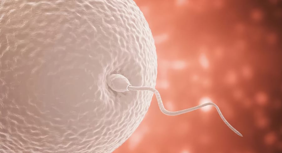 安全性を子ども世代まで追いかけた