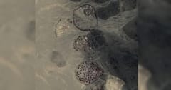 サハラ砂漠に眠る「巨大な集団墓地」を一挙に260基も発見の画像 1/1
