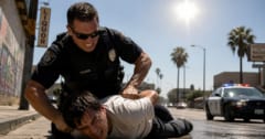 気温が高いほど「警察官の暴力性」が高まる傾向の画像 1/1