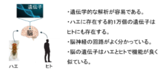 オスの性欲は「狭い部屋に閉じ込められる」と低下すると判明の画像 2/3