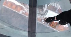 なぜ高所に立つと”足に違和感”を覚えるのかの画像 1/1