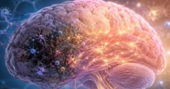 定説「壊れた脳は治らない」を覆す発見ー－脳の自然治癒力を維持する方法が見つかるの画像 1/2