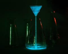 「光る藻類」を利用した「生きているランプ」を作製の画像 2/2