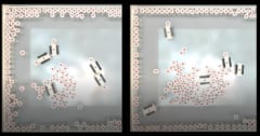 【集団の知能】掘削や建設を行う「アリ型ロボット」を開発の画像 1/2