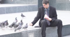 都会の鳥は女性が近づくと男性相手より1メートル早く逃げ出すと判明の画像 1/1