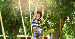 ”危ない遊び”は子供が安全スキルを身に着けるのに役立つの画像 1/1