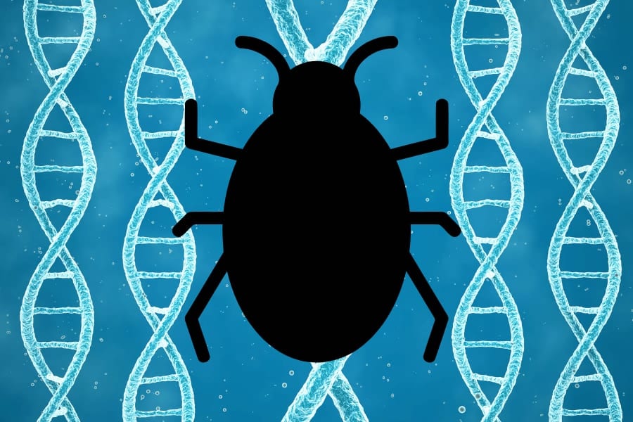 欧州人の「虫嫌い」、ただの文化ではなく9000年の進化史に隠れていた