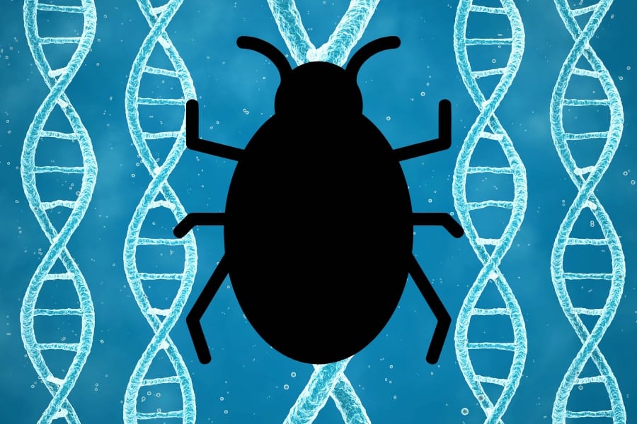 欧州人の「虫嫌い」、ただの文化ではなく9000年の進化史に隠れていた