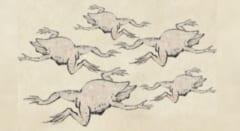 4500万年前に起きた「カエル大量死」の謎