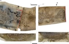 7000年前の「頭のない遺骨」を77体発見、スロバキアの画像 3/3