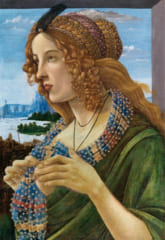 名画『ヴィーナスの誕生』のモデルになった美女、23歳での「謎の死」に新説の画像 3/3