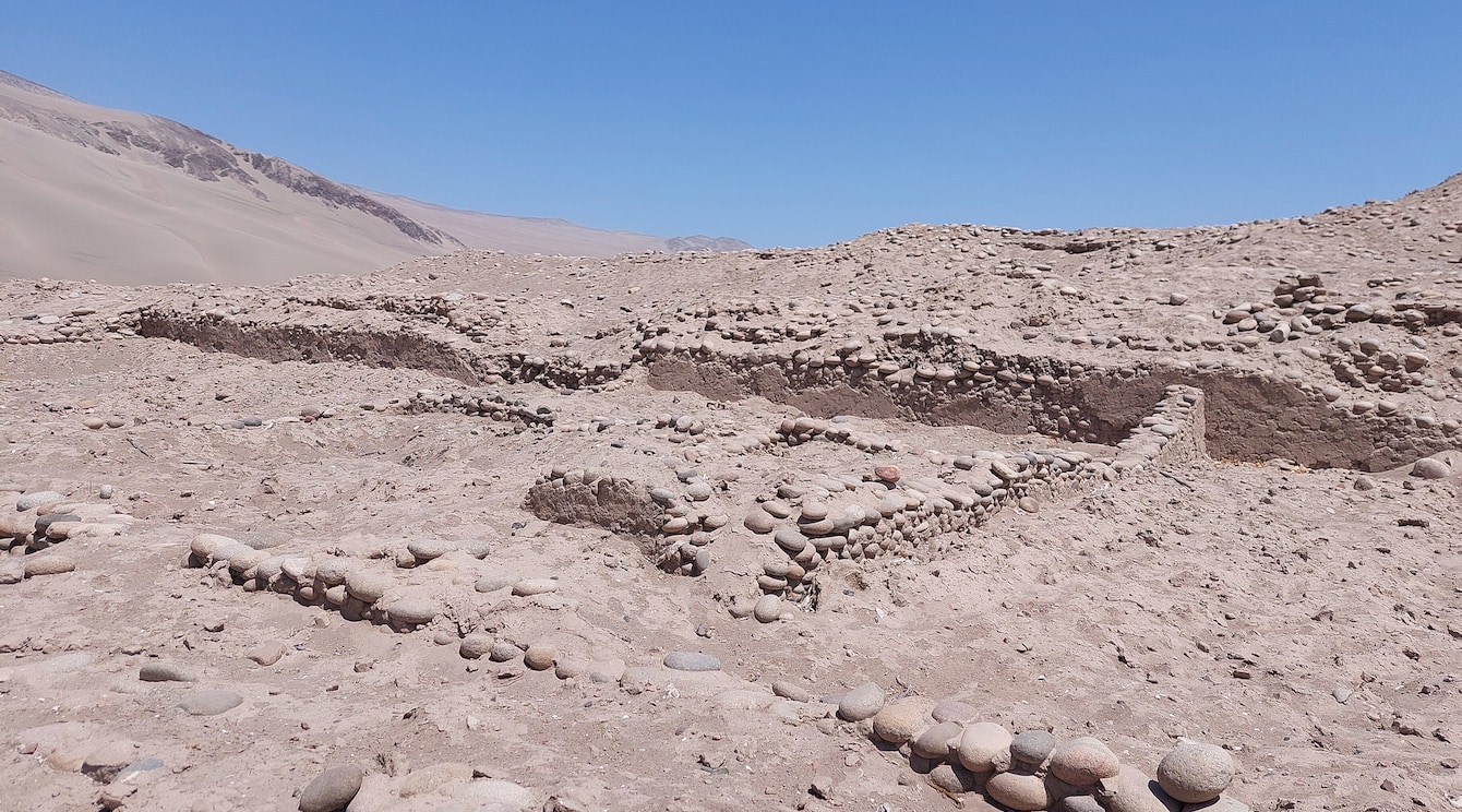 500年前の「冷凍ジャガイモ」をインカ遺跡で発掘の画像 2/3