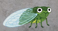 「セミの命は七日」はどうやって作られたか？