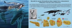 「翼竜」を食べた「魚竜」を食べた「巨大首長竜」、驚くべき食物連鎖の化石を発見の画像 2/3
