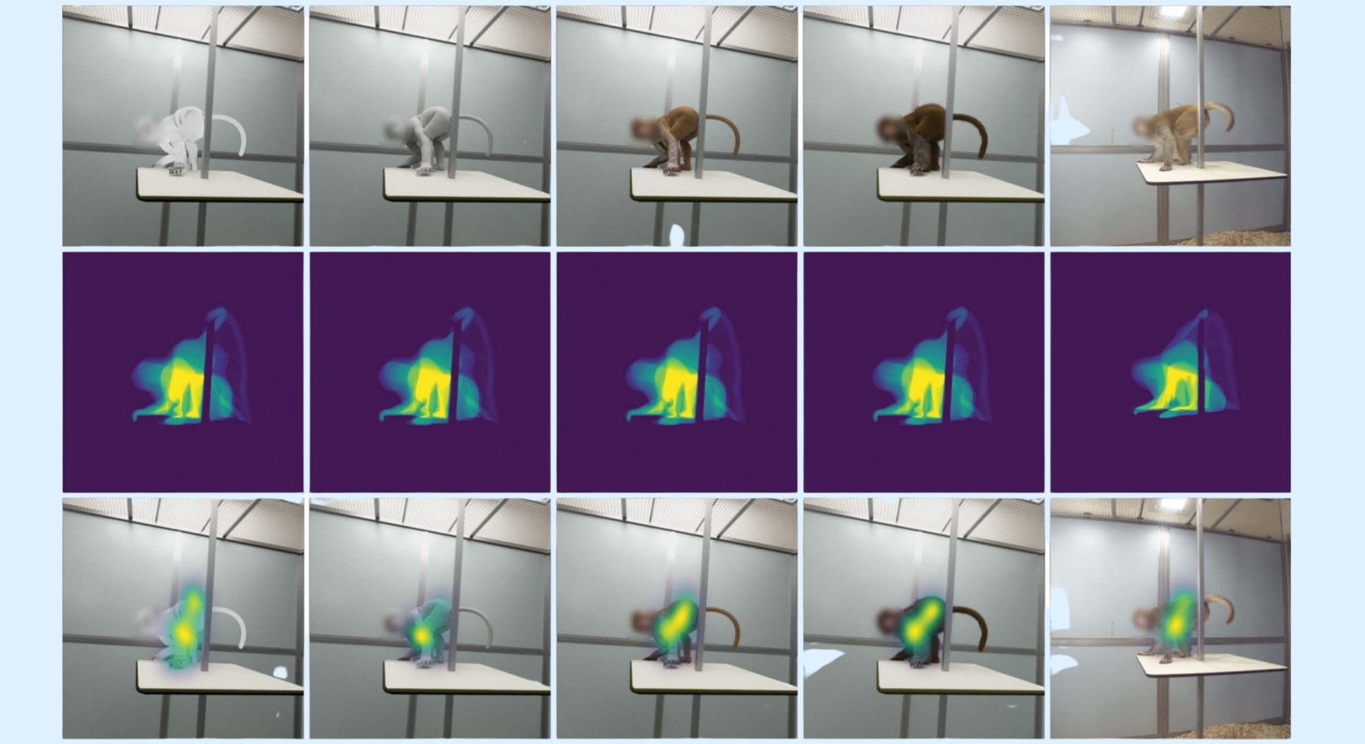 サルの視線が、中途半端なCGを避けた