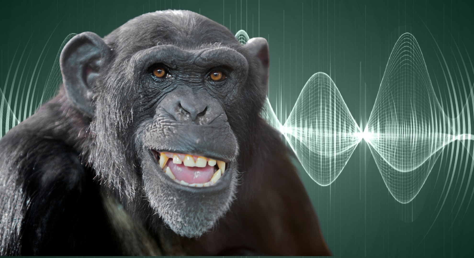 人類の祖先は「話す力」の前に「笑う力」を育てた──1500万年の進化史