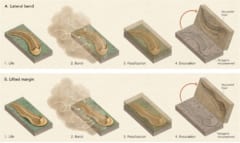 5億5000万年前の化石は右利きだった