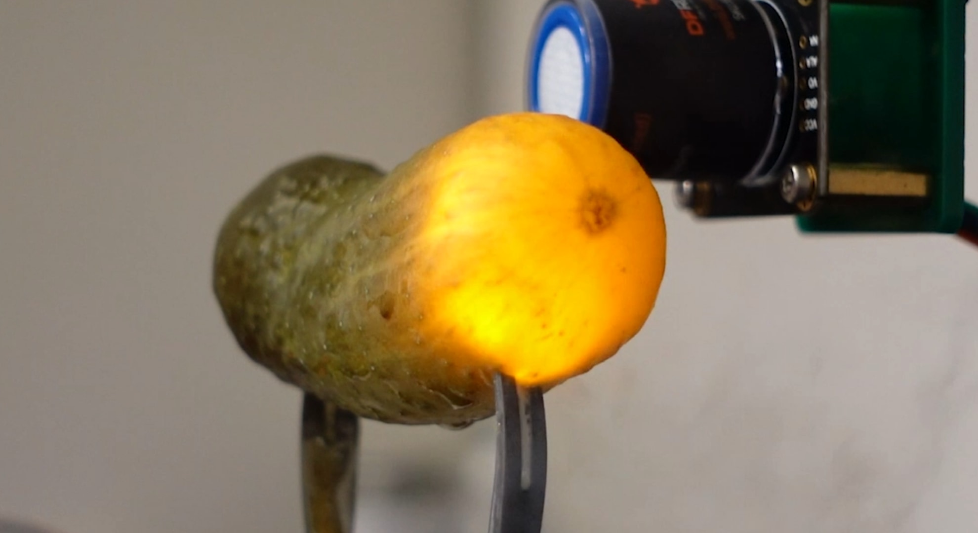 「食べられる電線」——なぜピクルスに電気が通るのか
