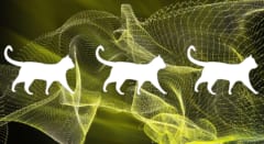 シュレーディンガーの猫は時空のゆらぎから解くことができる