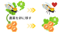 女王蜂は農薬を「卵」に押し付けて生き延びると判明の画像 1/1