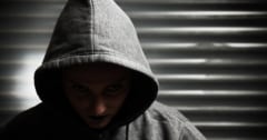 「計画的な殺人」は扁桃体の体積減少と関連していたの画像 1/1